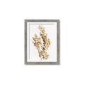 Picture of Dried Eucalyptus   _GroupedProduct_Rectangle_Portrait_Photography _GroupedProduct_Rectangle_Portrait_Framed_Matted_