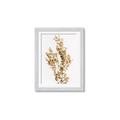 Picture of Dried Eucalyptus   _GroupedProduct_Rectangle_Portrait_Photography _GroupedProduct_Rectangle_Portrait_Framed_Matted_