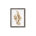 Picture of Dried Eucalyptus   _GroupedProduct_Rectangle_Portrait_Photography _GroupedProduct_Rectangle_Portrait_Framed_Matted_