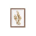 Picture of Dried Eucalyptus   _GroupedProduct_Rectangle_Portrait_Photography _GroupedProduct_Rectangle_Portrait_Framed_Matted_