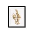 Picture of Dried Eucalyptus   _GroupedProduct_Rectangle_Portrait_Photography _GroupedProduct_Rectangle_Portrait_Framed_Matted_