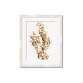 Picture of Dried Eucalyptus   _GroupedProduct_Rectangle_Portrait_Photography _GroupedProduct_Rectangle_Portrait_Framed_Matted_