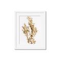 Picture of Dried Eucalyptus   _GroupedProduct_Rectangle_Portrait_Photography _GroupedProduct_Rectangle_Portrait_Framed_Matted_