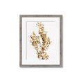 Picture of Dried Eucalyptus   _GroupedProduct_Rectangle_Portrait_Photography _GroupedProduct_Rectangle_Portrait_Framed_Matted_