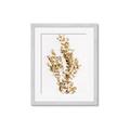 Picture of Dried Eucalyptus   _GroupedProduct_Rectangle_Portrait_Photography _GroupedProduct_Rectangle_Portrait_Framed_Matted_
