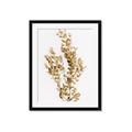 Picture of Dried Eucalyptus   _GroupedProduct_Rectangle_Portrait_Photography _GroupedProduct_Rectangle_Portrait_Framed_Matted_