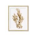 Picture of Dried Eucalyptus   _GroupedProduct_Rectangle_Portrait_Photography _GroupedProduct_Rectangle_Portrait_Framed_Matted_