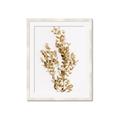 Picture of Dried Eucalyptus   _GroupedProduct_Rectangle_Portrait_Photography _GroupedProduct_Rectangle_Portrait_Framed_Matted_