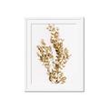 Picture of Dried Eucalyptus   _GroupedProduct_Rectangle_Portrait_Photography _GroupedProduct_Rectangle_Portrait_Framed_Matted_