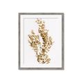 Picture of Dried Eucalyptus   _GroupedProduct_Rectangle_Portrait_Photography _GroupedProduct_Rectangle_Portrait_Framed_Matted_