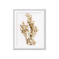 Picture of Dried Eucalyptus   _GroupedProduct_Rectangle_Portrait_Photography _GroupedProduct_Rectangle_Portrait_Framed_Matted_