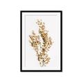 Picture of Dried Eucalyptus   _GroupedProduct_Rectangle_Portrait_Photography _GroupedProduct_Rectangle_Portrait_Framed_Matted_