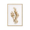 Picture of Dried Eucalyptus   _GroupedProduct_Rectangle_Portrait_Photography _GroupedProduct_Rectangle_Portrait_Framed_Matted_