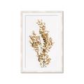 Picture of Dried Eucalyptus   _GroupedProduct_Rectangle_Portrait_Photography _GroupedProduct_Rectangle_Portrait_Framed_Matted_