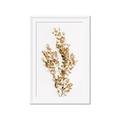 Picture of Dried Eucalyptus   _GroupedProduct_Rectangle_Portrait_Photography _GroupedProduct_Rectangle_Portrait_Framed_Matted_