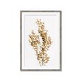 Picture of Dried Eucalyptus   _GroupedProduct_Rectangle_Portrait_Photography _GroupedProduct_Rectangle_Portrait_Framed_Matted_