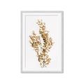 Picture of Dried Eucalyptus   _GroupedProduct_Rectangle_Portrait_Photography _GroupedProduct_Rectangle_Portrait_Framed_Matted_