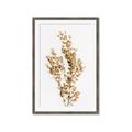 Picture of Dried Eucalyptus   _GroupedProduct_Rectangle_Portrait_Photography _GroupedProduct_Rectangle_Portrait_Framed_Matted_