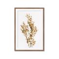 Picture of Dried Eucalyptus   _GroupedProduct_Rectangle_Portrait_Photography _GroupedProduct_Rectangle_Portrait_Framed_Matted_