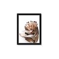 Picture of Dried Flower I  _GroupedProduct_Rectangle_Portrait_Photography _GroupedProduct_Rectangle_Portrait_Framed_Matted_