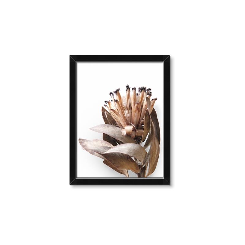 Picture of Dried Flower I  _GroupedProduct_Rectangle_Portrait_Photography _GroupedProduct_Rectangle_Portrait_Framed_Matted_