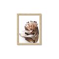 Picture of Dried Flower I  _GroupedProduct_Rectangle_Portrait_Photography _GroupedProduct_Rectangle_Portrait_Framed_Matted_