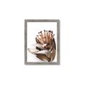 Picture of Dried Flower I  _GroupedProduct_Rectangle_Portrait_Photography _GroupedProduct_Rectangle_Portrait_Framed_Matted_