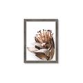 Picture of Dried Flower I  _GroupedProduct_Rectangle_Portrait_Photography _GroupedProduct_Rectangle_Portrait_Framed_Matted_