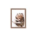 Picture of Dried Flower I  _GroupedProduct_Rectangle_Portrait_Photography _GroupedProduct_Rectangle_Portrait_Framed_Matted_