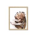 Picture of Dried Flower I  _GroupedProduct_Rectangle_Portrait_Photography _GroupedProduct_Rectangle_Portrait_Framed_Matted_