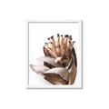 Picture of Dried Flower I  _GroupedProduct_Rectangle_Portrait_Photography _GroupedProduct_Rectangle_Portrait_Framed_Matted_