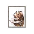 Picture of Dried Flower I  _GroupedProduct_Rectangle_Portrait_Photography _GroupedProduct_Rectangle_Portrait_Framed_Matted_