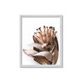 Picture of Dried Flower I  _GroupedProduct_Rectangle_Portrait_Photography _GroupedProduct_Rectangle_Portrait_Framed_Matted_