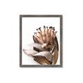 Picture of Dried Flower I  _GroupedProduct_Rectangle_Portrait_Photography _GroupedProduct_Rectangle_Portrait_Framed_Matted_