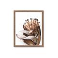 Picture of Dried Flower I  _GroupedProduct_Rectangle_Portrait_Photography _GroupedProduct_Rectangle_Portrait_Framed_Matted_