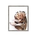 Picture of Dried Flower I  _GroupedProduct_Rectangle_Portrait_Photography _GroupedProduct_Rectangle_Portrait_Framed_Matted_