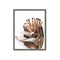 Picture of Dried Flower I  _GroupedProduct_Rectangle_Portrait_Photography _GroupedProduct_Rectangle_Portrait_Framed_Matted_