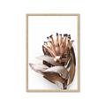 Picture of Dried Flower I  _GroupedProduct_Rectangle_Portrait_Photography _GroupedProduct_Rectangle_Portrait_Framed_Matted_