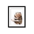 Picture of Dried Flower I  _GroupedProduct_Rectangle_Portrait_Photography _GroupedProduct_Rectangle_Portrait_Framed_Matted_