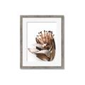 Picture of Dried Flower I  _GroupedProduct_Rectangle_Portrait_Photography _GroupedProduct_Rectangle_Portrait_Framed_Matted_