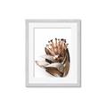 Picture of Dried Flower I  _GroupedProduct_Rectangle_Portrait_Photography _GroupedProduct_Rectangle_Portrait_Framed_Matted_