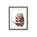 Picture of Dried Flower I  _GroupedProduct_Rectangle_Portrait_Photography _GroupedProduct_Rectangle_Portrait_Framed_Matted_