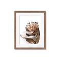Picture of Dried Flower I  _GroupedProduct_Rectangle_Portrait_Photography _GroupedProduct_Rectangle_Portrait_Framed_Matted_