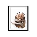 Picture of Dried Flower I  _GroupedProduct_Rectangle_Portrait_Photography _GroupedProduct_Rectangle_Portrait_Framed_Matted_