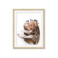 Picture of Dried Flower I  _GroupedProduct_Rectangle_Portrait_Photography _GroupedProduct_Rectangle_Portrait_Framed_Matted_