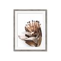 Picture of Dried Flower I  _GroupedProduct_Rectangle_Portrait_Photography _GroupedProduct_Rectangle_Portrait_Framed_Matted_