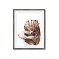 Picture of Dried Flower I  _GroupedProduct_Rectangle_Portrait_Photography _GroupedProduct_Rectangle_Portrait_Framed_Matted_