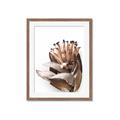 Picture of Dried Flower I  _GroupedProduct_Rectangle_Portrait_Photography _GroupedProduct_Rectangle_Portrait_Framed_Matted_