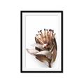 Picture of Dried Flower I  _GroupedProduct_Rectangle_Portrait_Photography _GroupedProduct_Rectangle_Portrait_Framed_Matted_