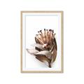 Picture of Dried Flower I  _GroupedProduct_Rectangle_Portrait_Photography _GroupedProduct_Rectangle_Portrait_Framed_Matted_